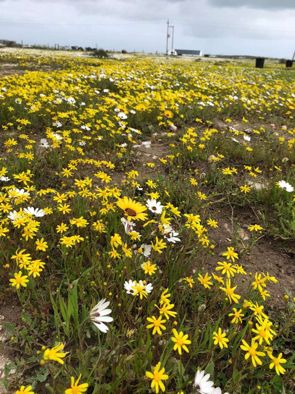 Silver Oaks Airbnb Langebaan Exteriér fotografie