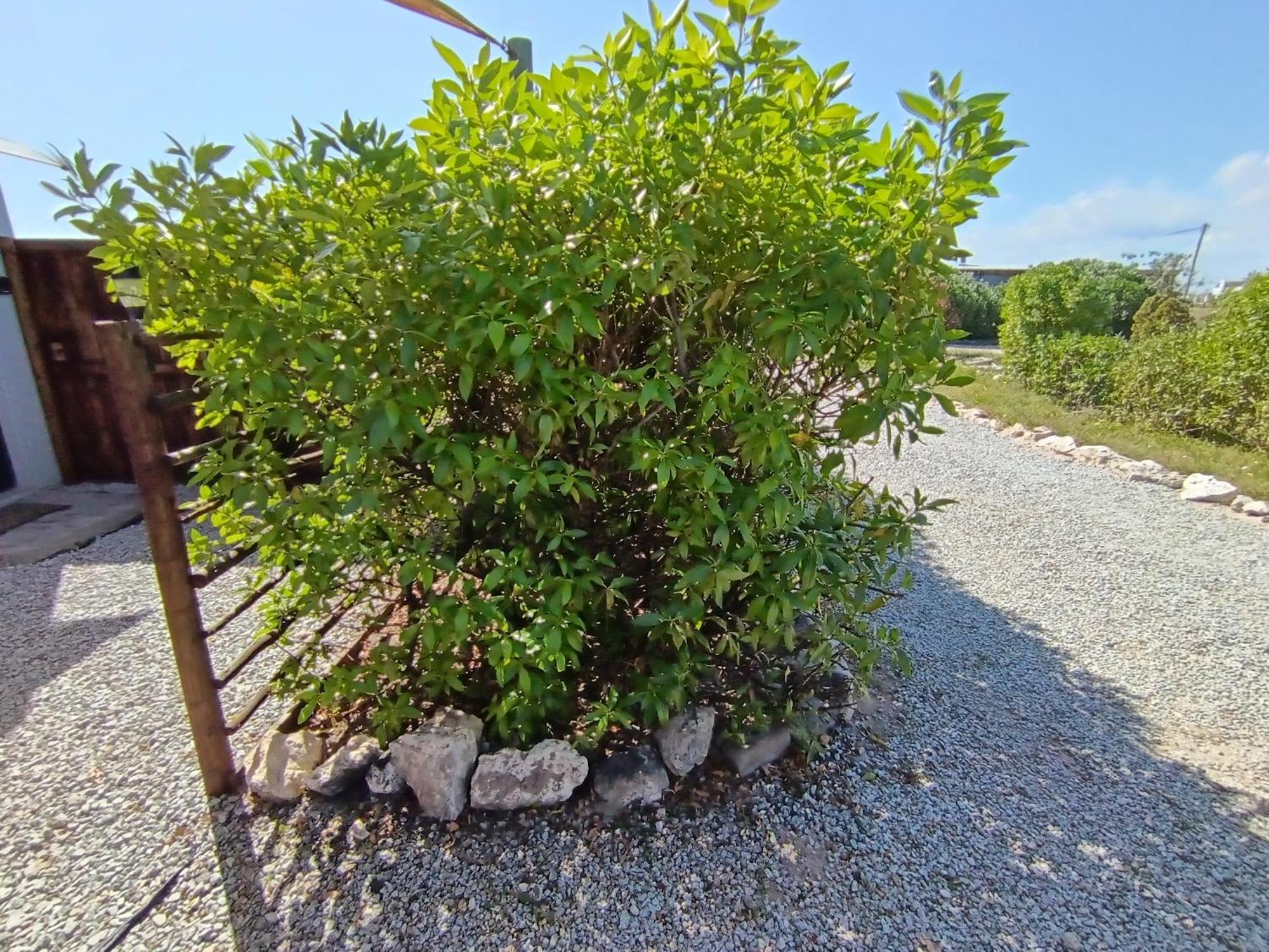Silver Oaks Airbnb Langebaan Exteriér fotografie